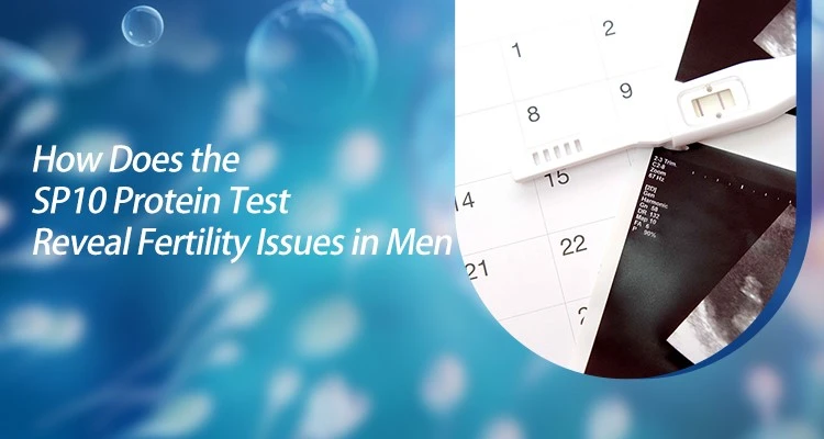 the-sp10-protein-test-reveal-fertility the-sp10-protein-test-reveal-fertility